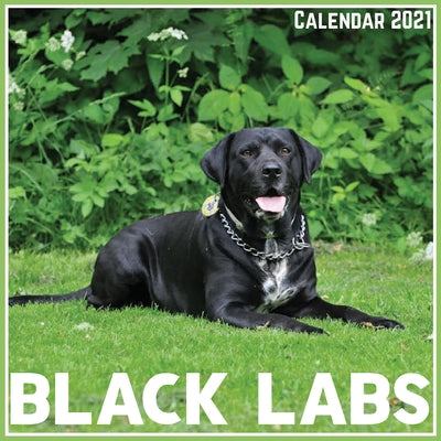 Black Labs Calendar 2021: Official Black Labs Calendar 2021, 12 Months