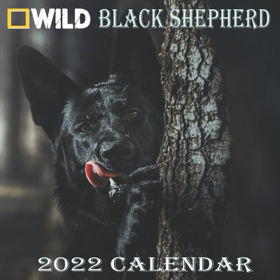 Black Shepherd Calendar 2022: BLACK SHEPHERD calendar 2022 "8.5x8.5" Inch 16 Months JAN 2022 TO APR 2023 finished and Glossy
