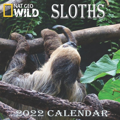 Sloths Calendar 2022: SLOTHS calendar 2022 "8.5x8.5" Inch 16 Months JAN 2022 TO APR 2023 finished and Glossy