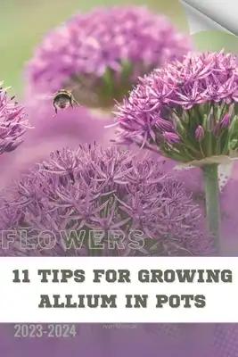11 Tips For Growing Allium in Pots: Become flowers expert